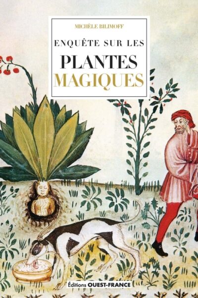 ENQUÊTE SUR LES PLANTES MAGIQUES