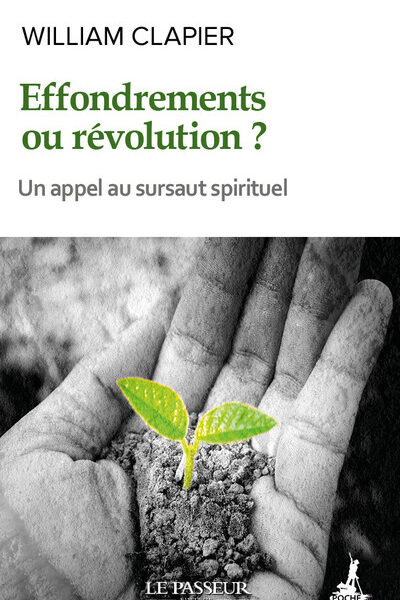 EFFONDREMENTS OU REVOLUTION ? UN APPEL AU SURSAUT SPIRITUEL