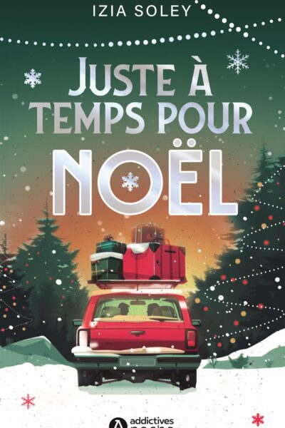 JUSTE A TEMPS POUR NOËL !
