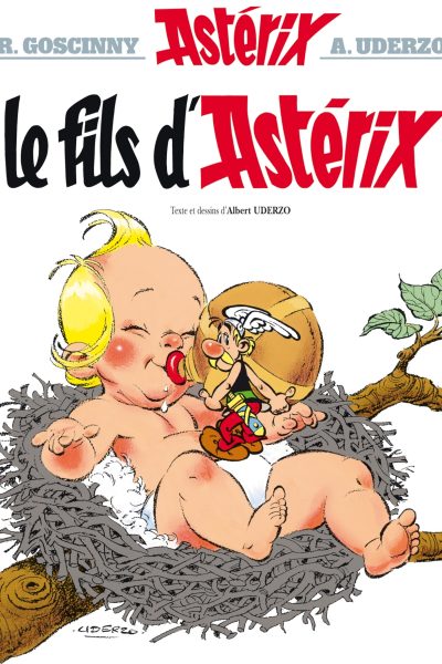 T27 LE FILS D'ASTERIX