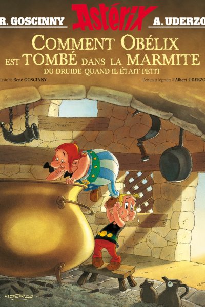 COMMENT OBELIX EST TOMBE DANS LA MARMITE