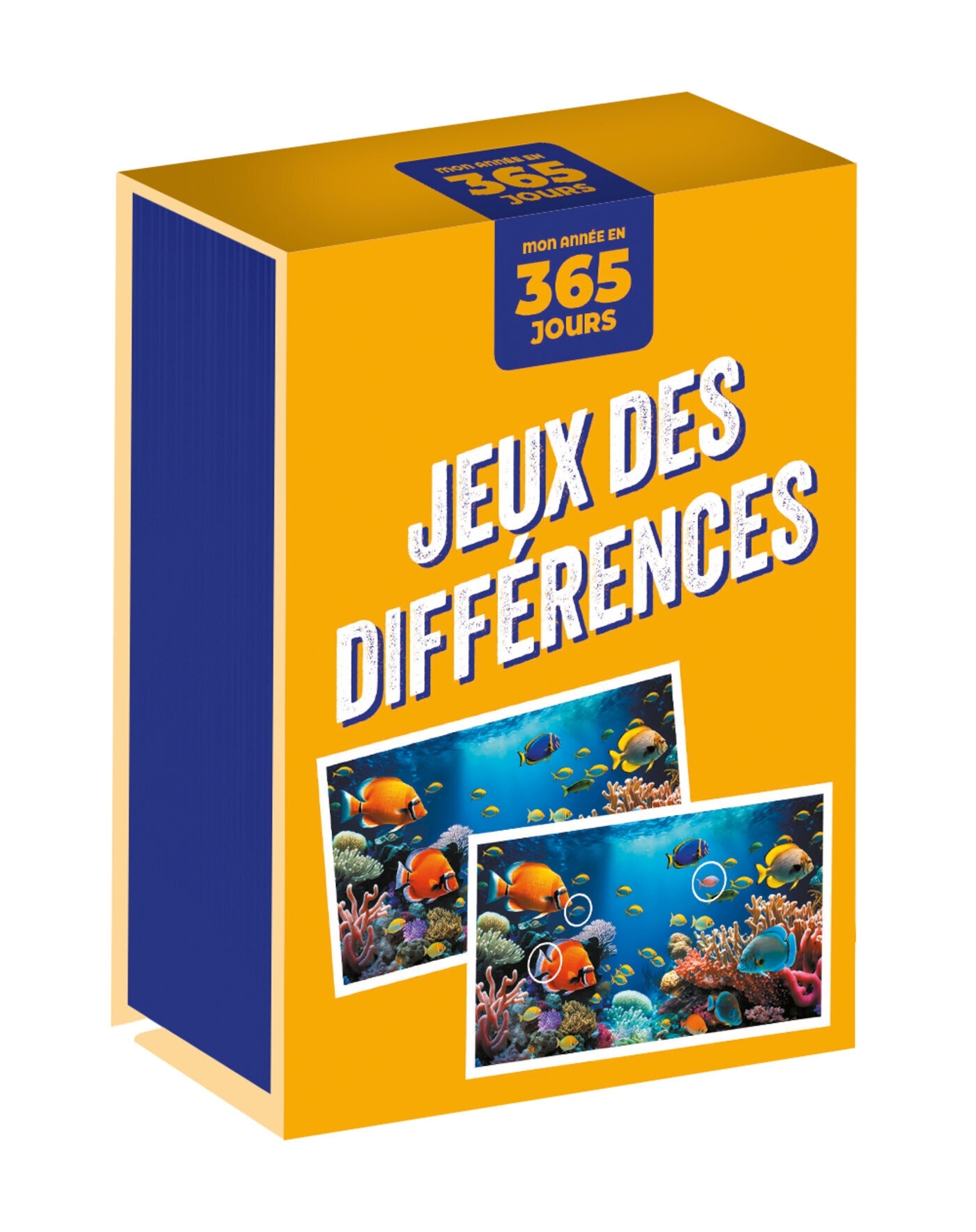 JEUX DES DIFFERENCES