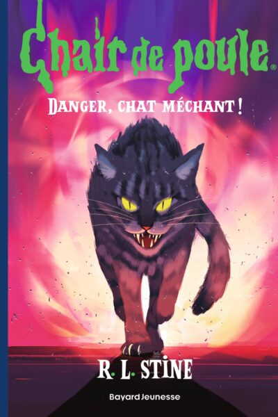 CHAIR DE POULE T15 DANGER, CHAT MECHANT !