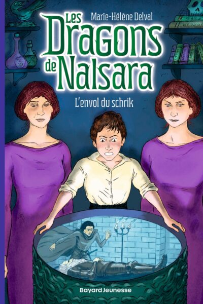 LES DRAGONS DE NALSARA T15 L'ENVOL DU SCHRIK