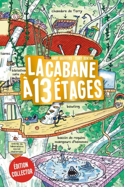LA CABANE T01 A 13 ETAGES COLLECTOR EN COULEUR