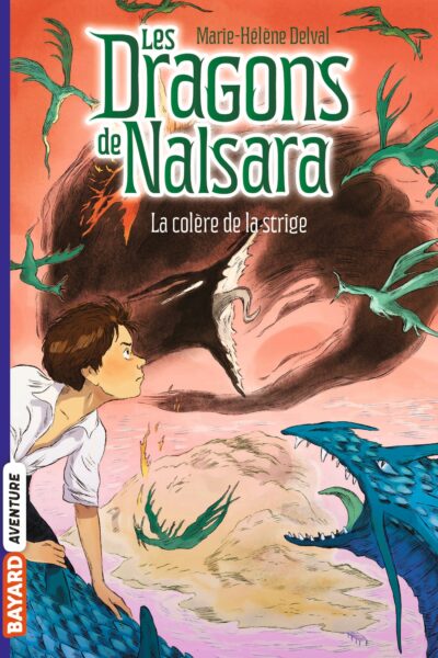 LES DRAGONS DE NALSARA, TOME 06 - LA COLERE DE LA STRIDGE