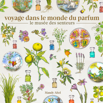 VOYAGE DANS LE MONDE DU PARFUM - LE MUSEE DES SENTEURS - A LA DECOUVERTE DE L'ETRANGE ET MERVEILLEUX