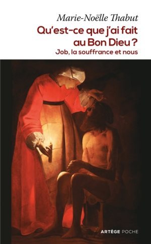 QU'EST-CE QUE J'AI FAIT AU BON DIEU ? JOB, LA SOUFFRANCE ET NOUS