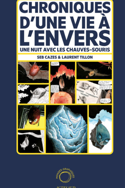 CHRONIQUES D'UNE VIE A L'ENVERS