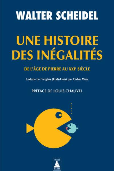 UNE HISTOIRE DES INEGALITES - DE L'AGE DE PIERRE AU XXIE SIECLE - ILLUSTRATIONS, NOIR ET BLANC
