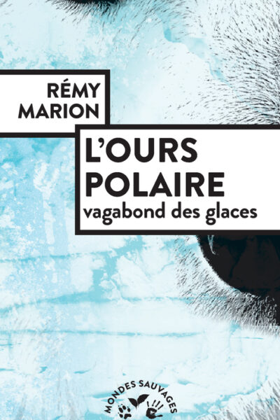 L'OURS POLAIRE, VAGABOND DES GLACES