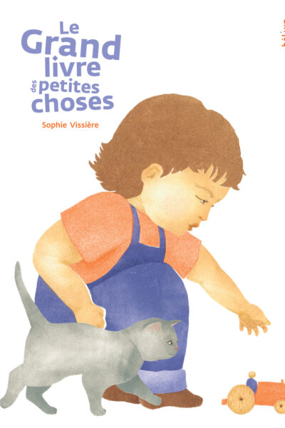 LE GRAND LIVRE DES PETITES CHOSES