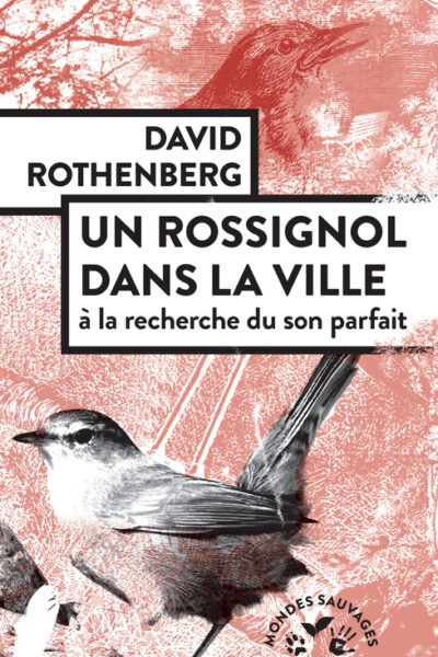 UN ROSSIGNOL DANS LA VILLE