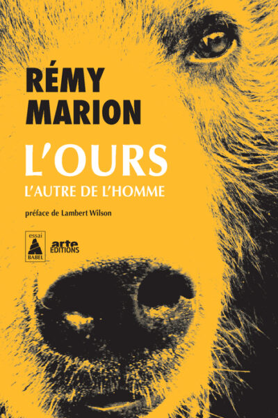 L'OURS - L'AUTRE DE L'HOMME - ILLUSTRATIONS, NOIR ET BLANC