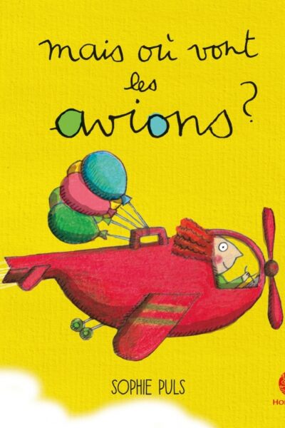 MAIS OÙ VONT LES AVIONS ?
