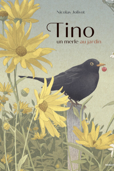 TINO, UN MERLE AU JARDIN