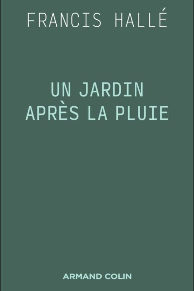 UN JARDIN APRES LA PLUIE