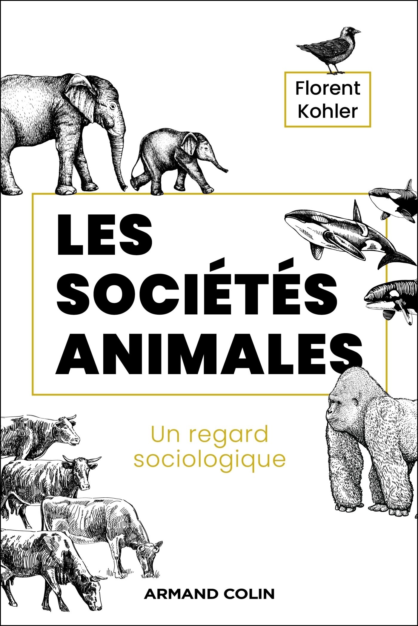 LES SOCIETES ANIMALES. UN REGARD SOCIOLOGIQUE