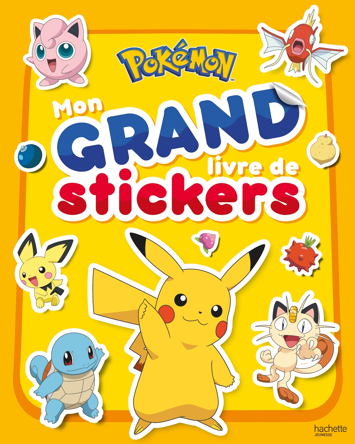 POKEMON - MON GRAND LIVRE DE STICKERS
