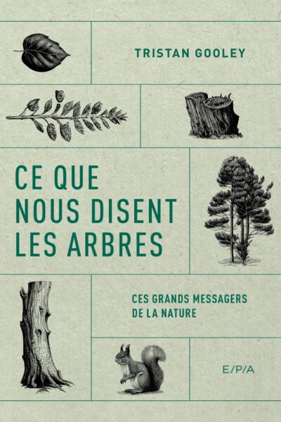 CE QUE NOUS DISENT LES ARBRES - CES GRANDS MESSAGERS DE LA NATURE