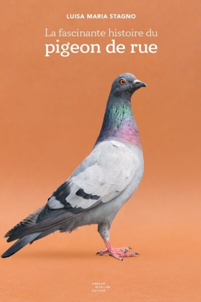 LA FASCINANTE HISTOIRE DU PIGEON DE RUE