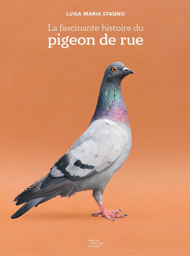 LA FASCINANTE HISTOIRE DU PIGEON DE RUE