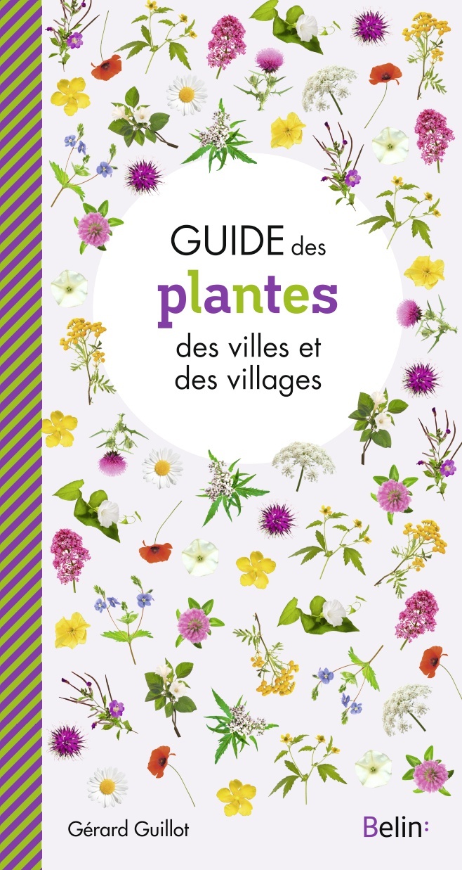 GUIDE DES PLANTES DES VILLES ET VILLAGES