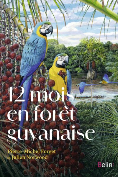 12 MOIS EN FORÊT GUYANAISE