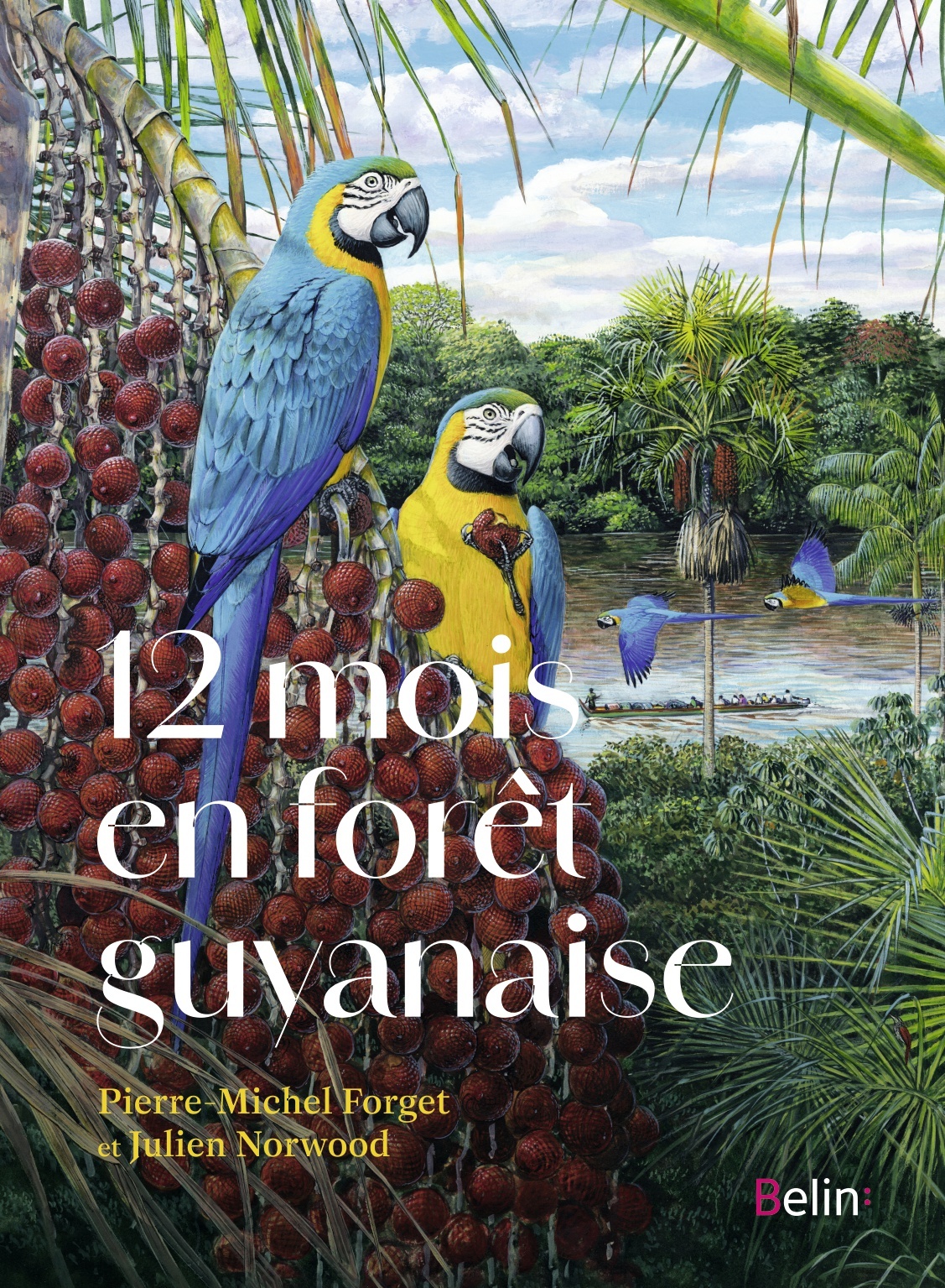 12 MOIS EN FORÊT GUYANAISE