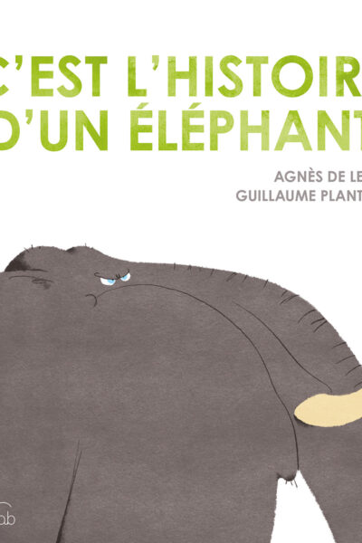 C'EST L'HISTOIRE D'UN ELEPHANT - EDITION CARTONNEE