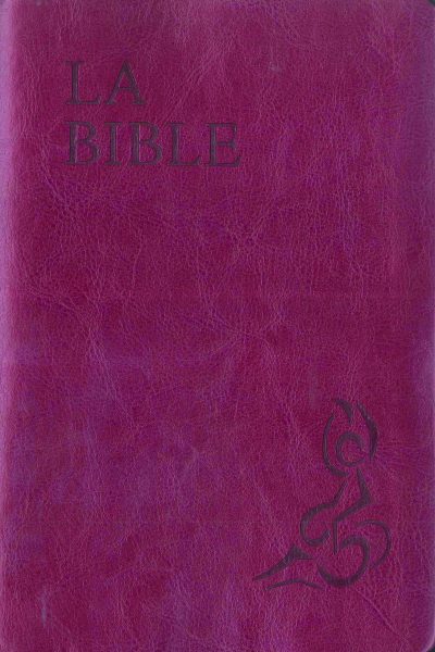 BIBLE SEMI-RIGIDE DC - ILLUSTREE PAR VALLOTTON BORDEAUX