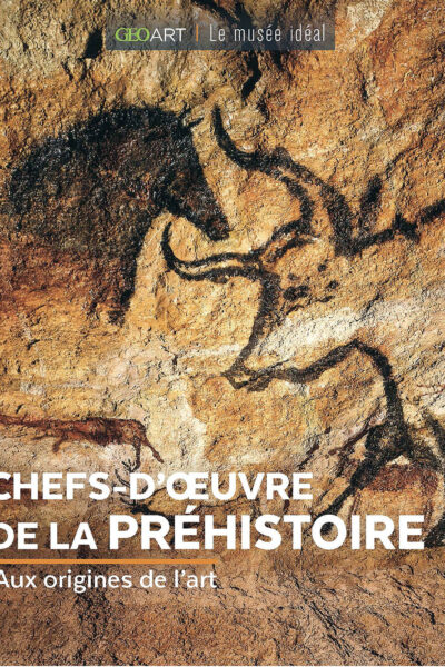 CHEFS-D'OEUVRE DE LA PREHISTOIRE - AUX ORIGINES DE L'ART