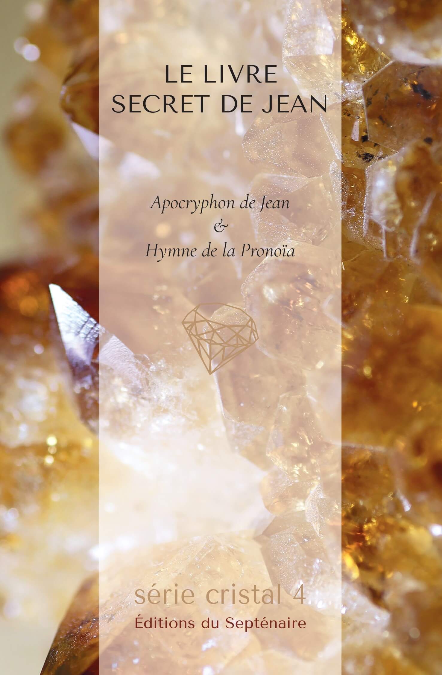 LE LIVRE SECRET DE JEAN