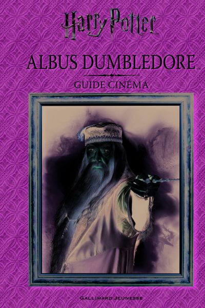 MOMENTS MAGIQUES 4  ALBUS DUMBLEDORE