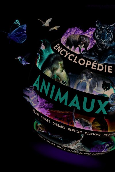 ENCYCLOPEDIE DES ANIMAUX   -  LES YEUX DE LA DECOUVERTE