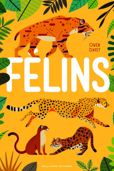 FELINS