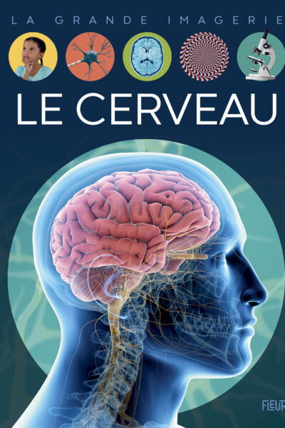 LE CERVEAU