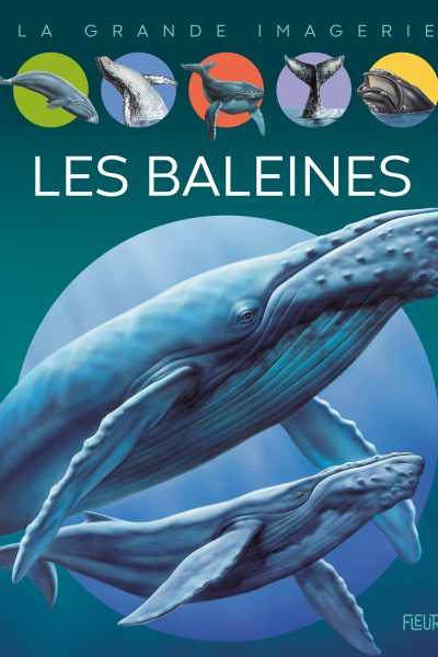 LES BALEINES - LA GRANDE IMAGERIE