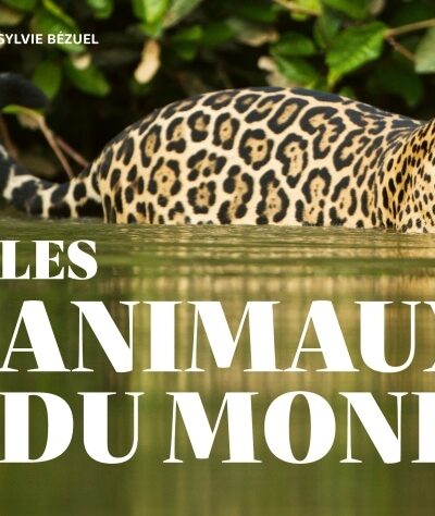LES ANIMAUX DU MONDE DE A A Z