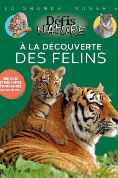 A LA DECOUVERTE DES FELINS - DEFIS NATURE