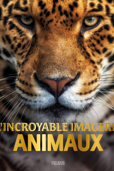 L'INCROYABLE IMAGERIE ANIMAUX