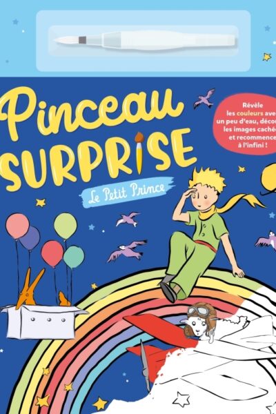 PINCEAU SURPRISE - LE PETIT PRINCE