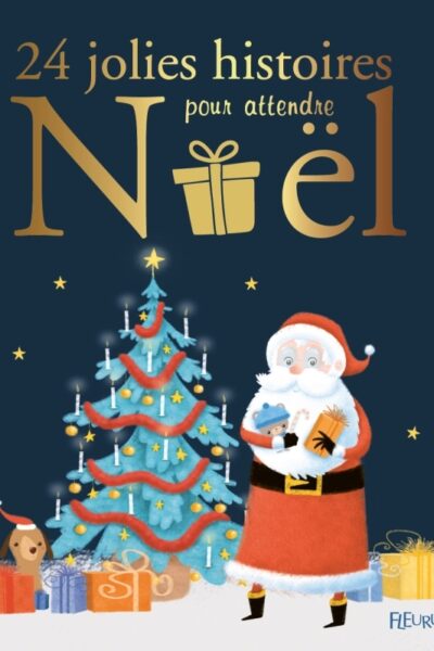 24 JOLIES HISTOIRES POUR ATTENDRE NOEL