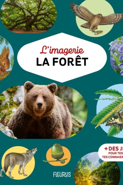 L'IMAGERIE - LA FORET