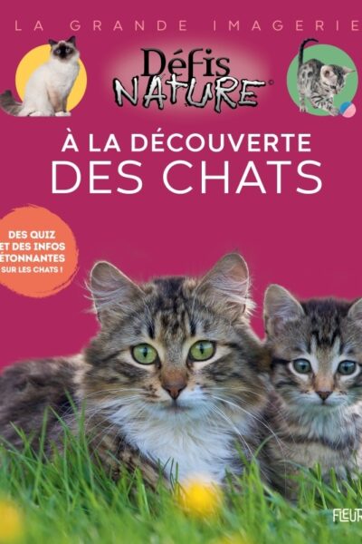 À LA DECOUVERTE DES CHATS
