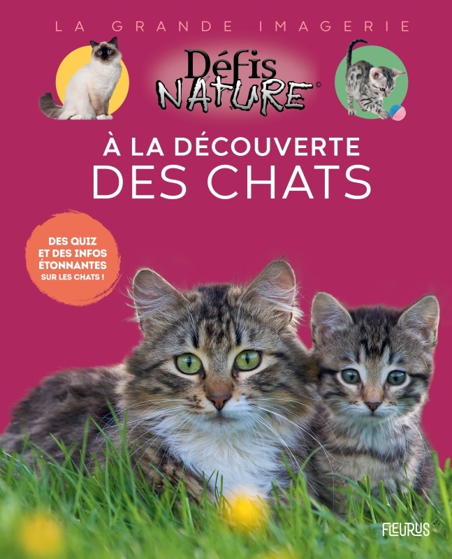 À LA DECOUVERTE DES CHATS