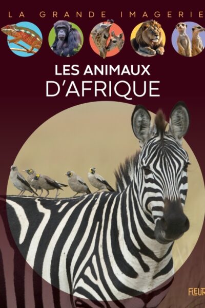 LES ANIMAUX D'AFRIQUE
