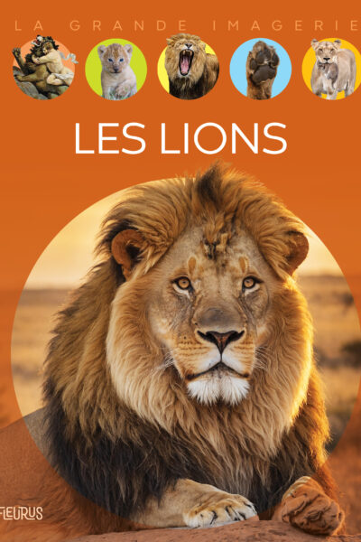LES LIONS