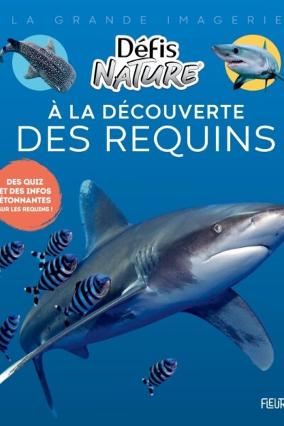 À LA DECOUVERTE DES REQUINS