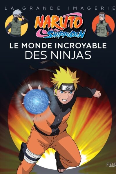 HB - NARUTO SHIPPUDEN - LE MONDE INCROYABLE DES NINJAS